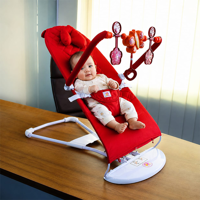 Baby Bouncer 1